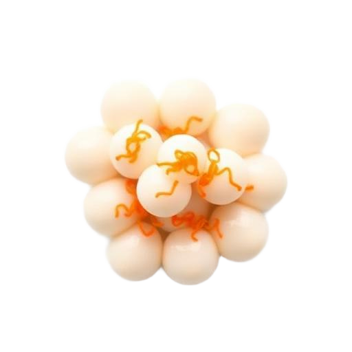 Fish Balls with Fish Roe · 鱼籽鱼丸